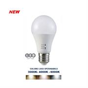 LAMPADINA BULBO A60 E27 12W 3-4-6K  CON SWITCH LED ITALIA